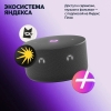 Вид 11